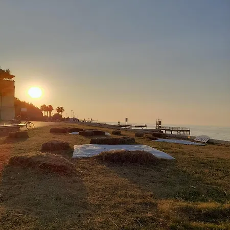 Sole Amare * باري